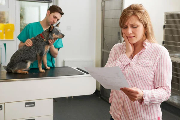Costes de las consultas veterinarias